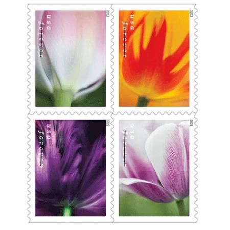 Tulip Blossoms 2023 - 5 Booklets 100 Pcs Unused Stamps for Mailing